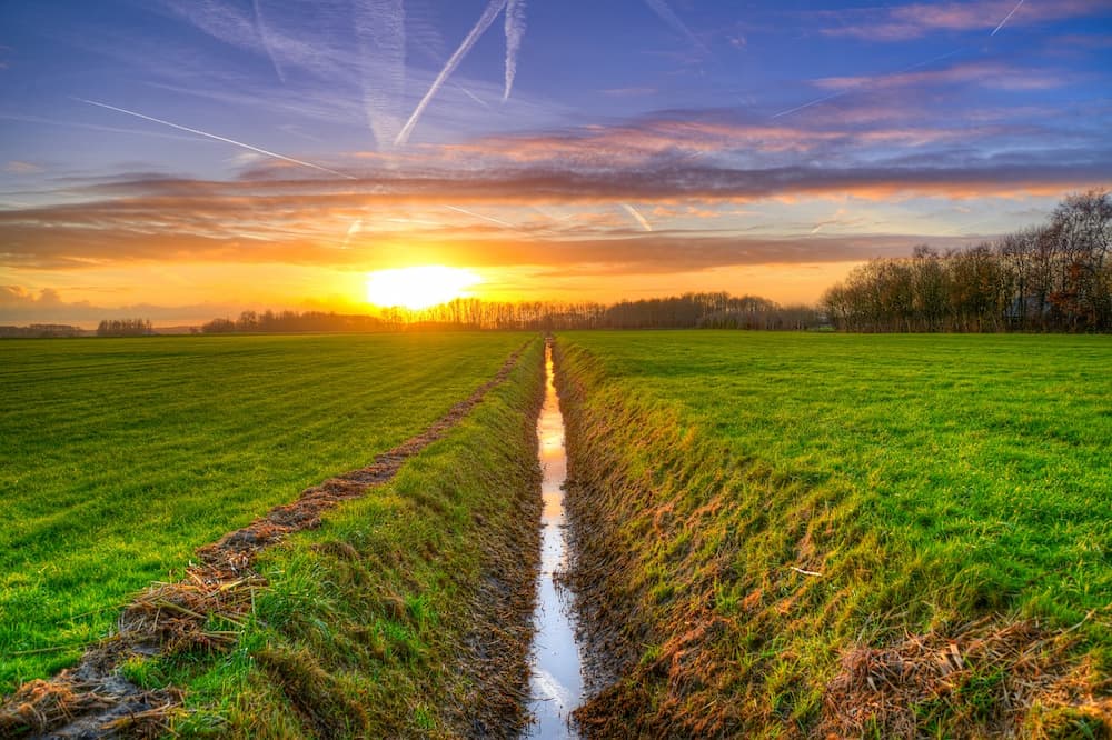 a swale redirects water to a destination of your choice